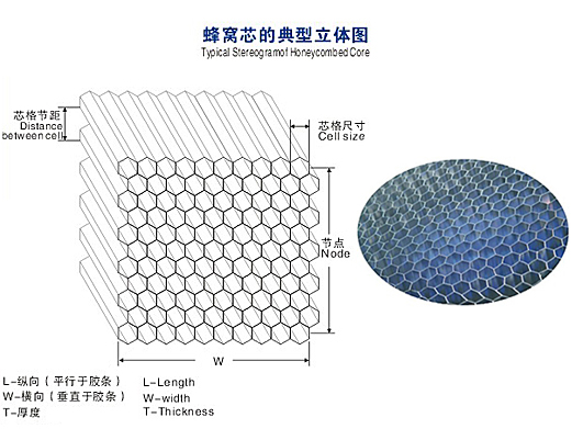 蜂窩芯的典型立體圖